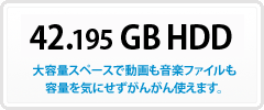 42.195GB HDD