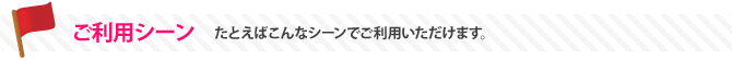 ご利用シーン「たとえばこんなシーンでご利用頂けます」