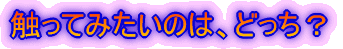 ɗVт̂́AǂH