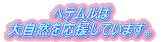 we 厩RĂ܂B